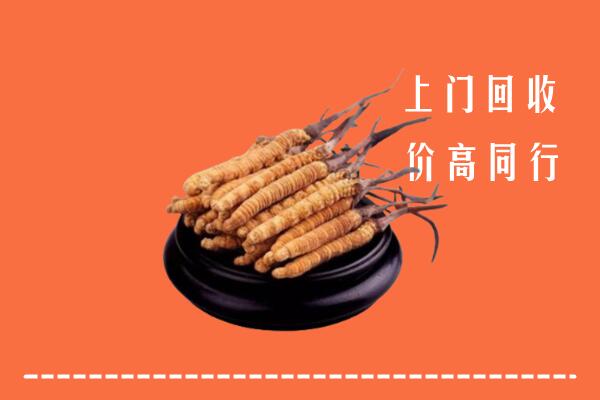 附近收购：武定县冬虫夏草回收多少钱每克